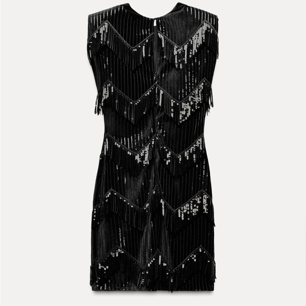 NWT ZARA  FRINGED Sequin Dress size XS AND S
🚨FIRM PRICE NO DISCOUNT - Picture 9 of 15